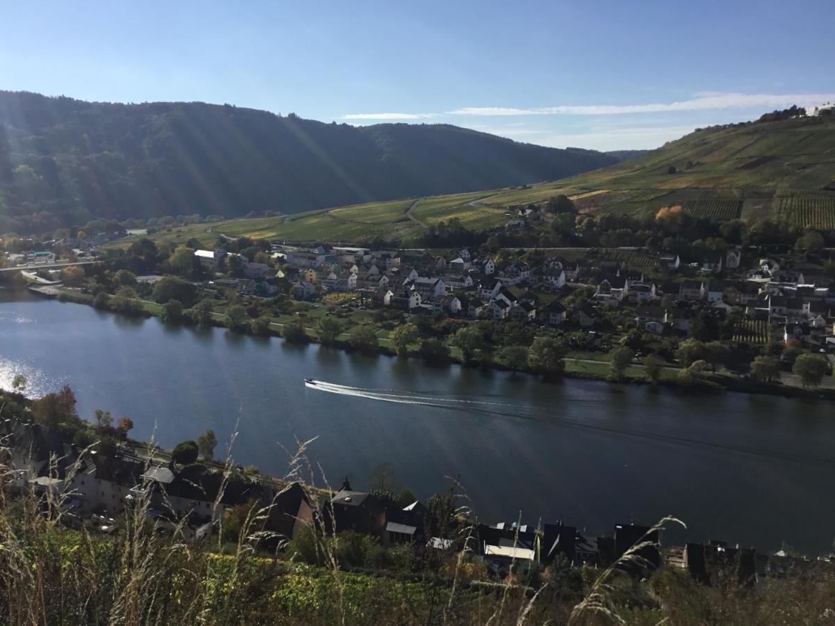 Mosel-Appartements Nehren Zell an der Mosel Exterior photo